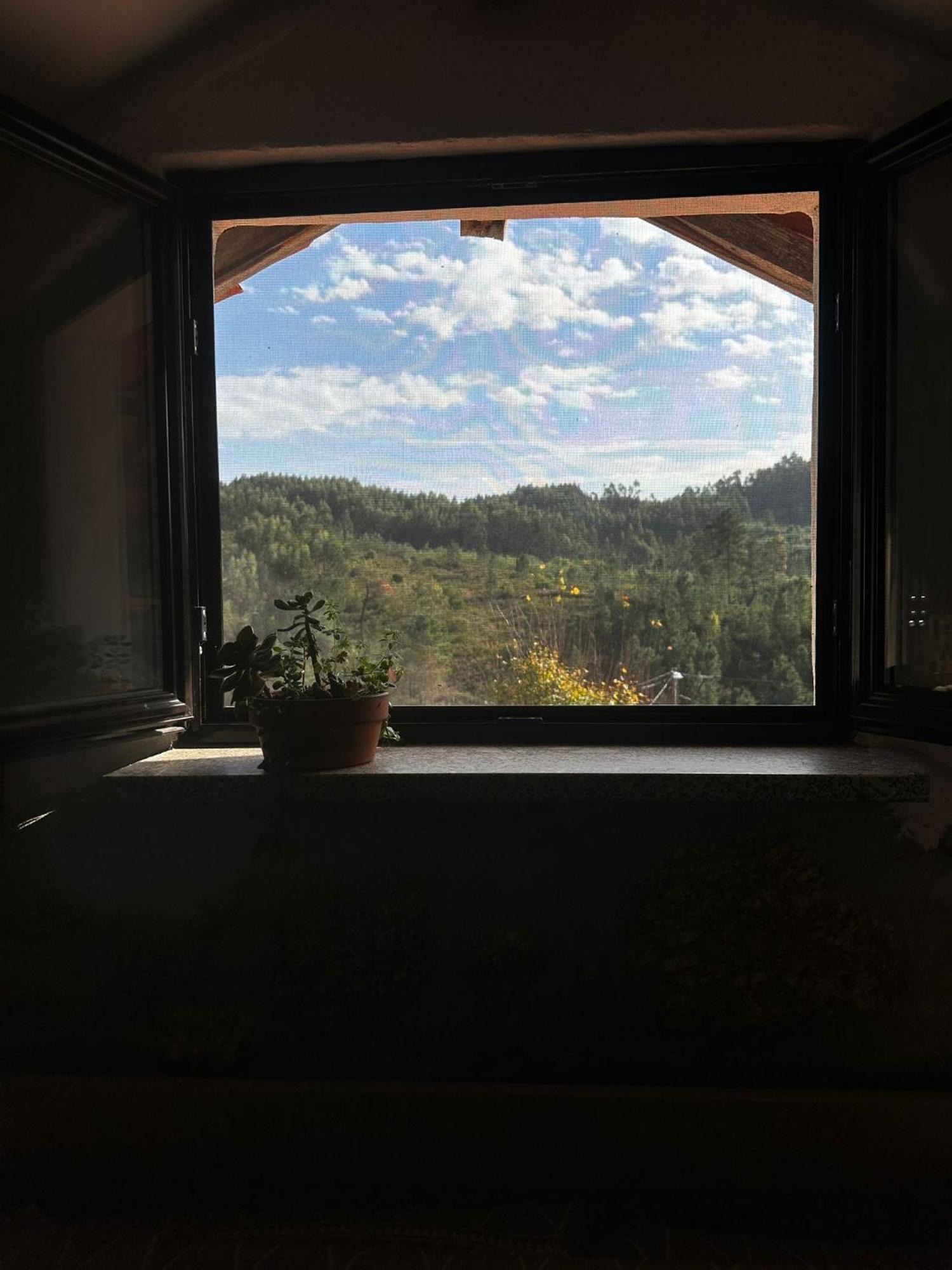 Casa Trilho The Gaios Bed & Breakfast Tabua  Bagian luar foto