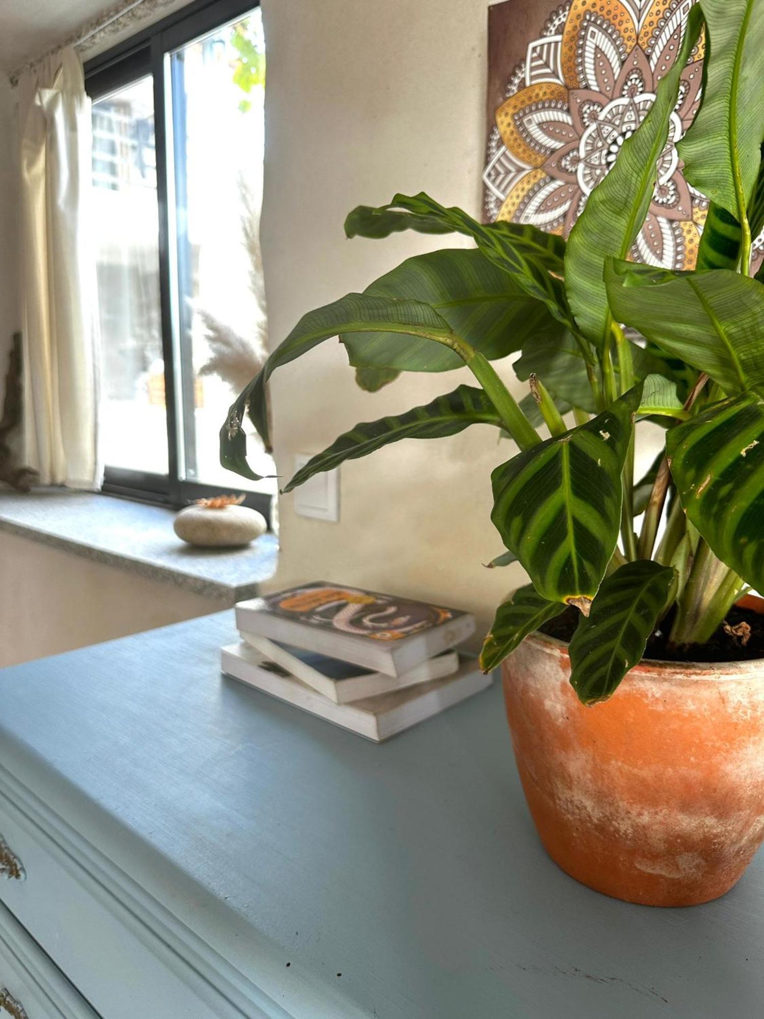 Casa Trilho The Gaios Bed & Breakfast Tabua  Bagian luar foto