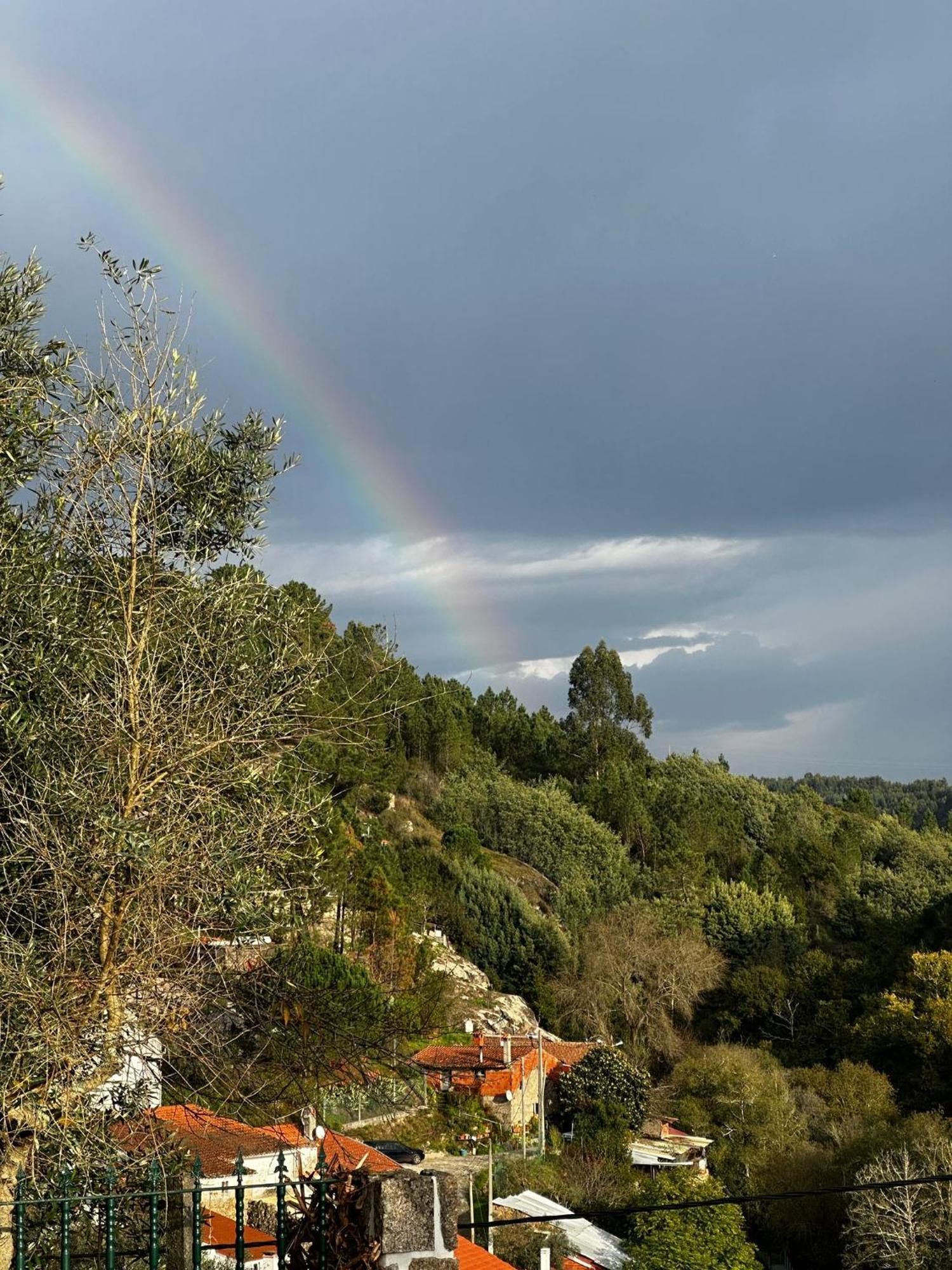 Casa Trilho The Gaios Bed & Breakfast Tabua  Bagian luar foto
